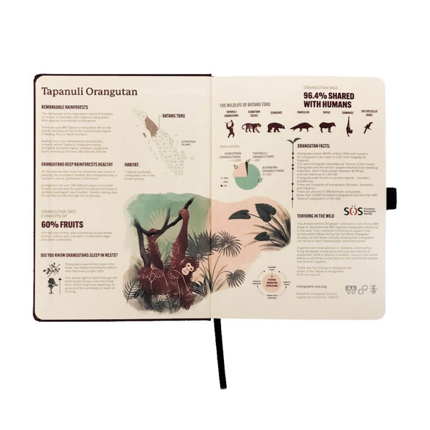 Dingbats Wildlife SOS Orangutan Limited Edition