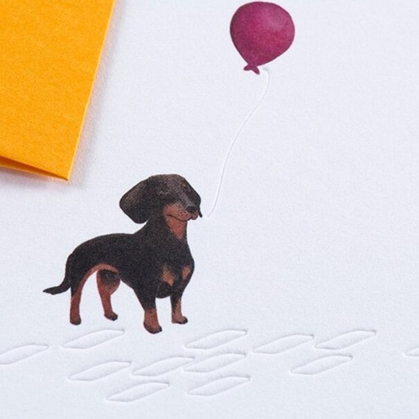 Gmund Traces - Sausage Dog