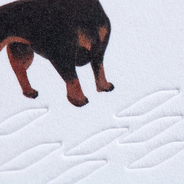 Gmund Traces - Sausage Dog