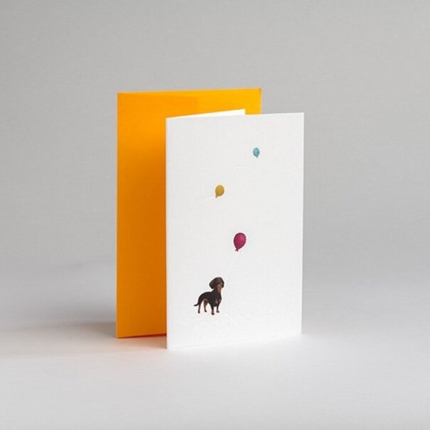 Gmund Traces - Sausage Dog