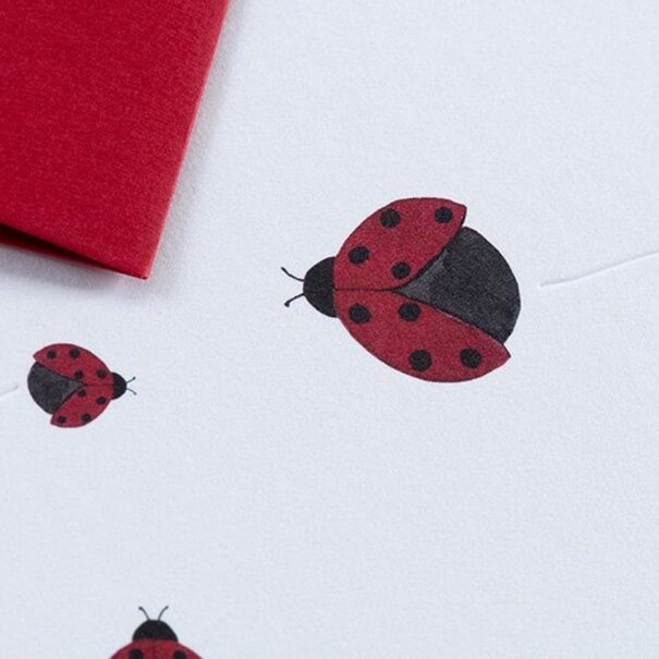 Gmund Traces - Ladybird