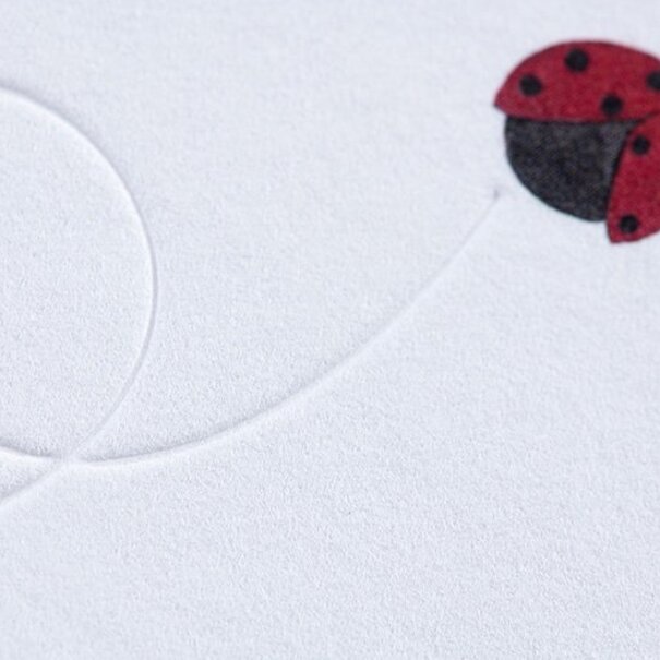 Gmund Traces - Ladybird
