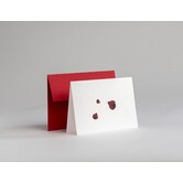 Traces - Ladybird
