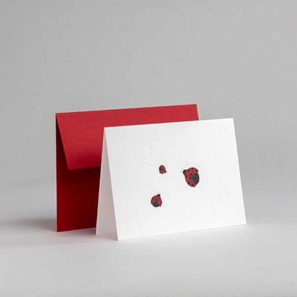 Gmund Traces - Ladybird