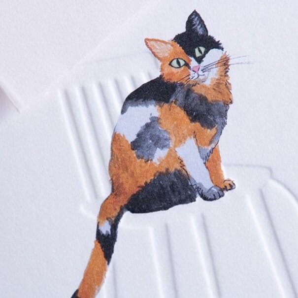 Gmund Traces - Tortoise Cat