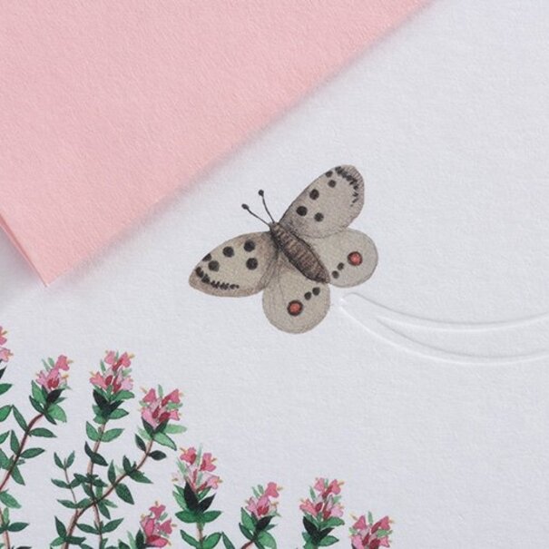 Gmund Traces - Butterfly env. A6