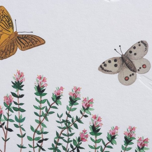 Gmund Traces - Butterfly approx. A6