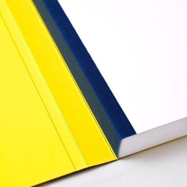 Fantasticpaper Lemon & Dark Blue XL