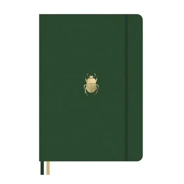 Dingbats Pro B5 Beetle