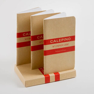 Pocket notebooks