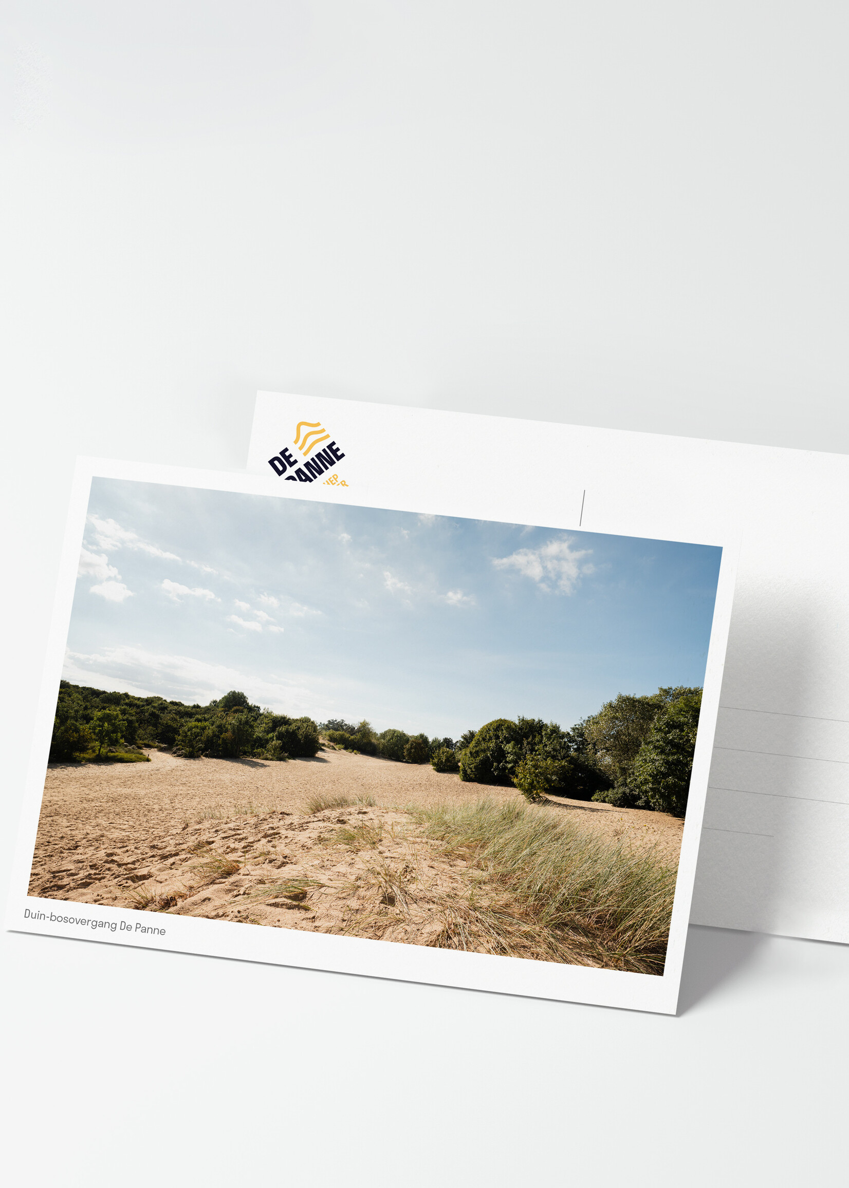 Visit De Panne Carte postale