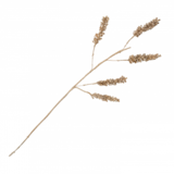 U.N.C. Planta Decorative Cereal U.N.C. Planta Decorative Cereal