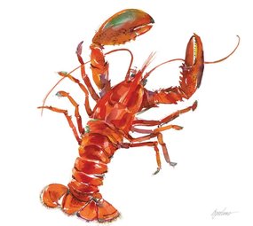 Ppd Servetten Bar Harbor 33x33 Ppd Servetten Bar Harbor 33x33