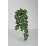 Round Leaves - 74 cm Round Leaves - 74 cm
