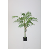 Areca Palm – 90cm Areca Palm – 90cm