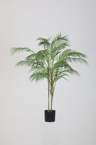 Areca Palm – 90cm Areca Palm – 90cm