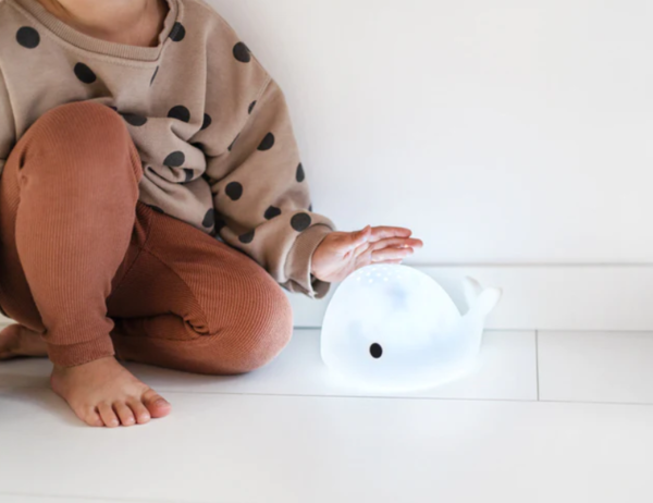 Flow Amsterdam Moby Projector Flow Amsterdam Moby Projector