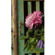 Doing Goods Bodhi Bamboo Doorhandle - Small Doing Goods Bodhi Bamboo Doorhandle - Small