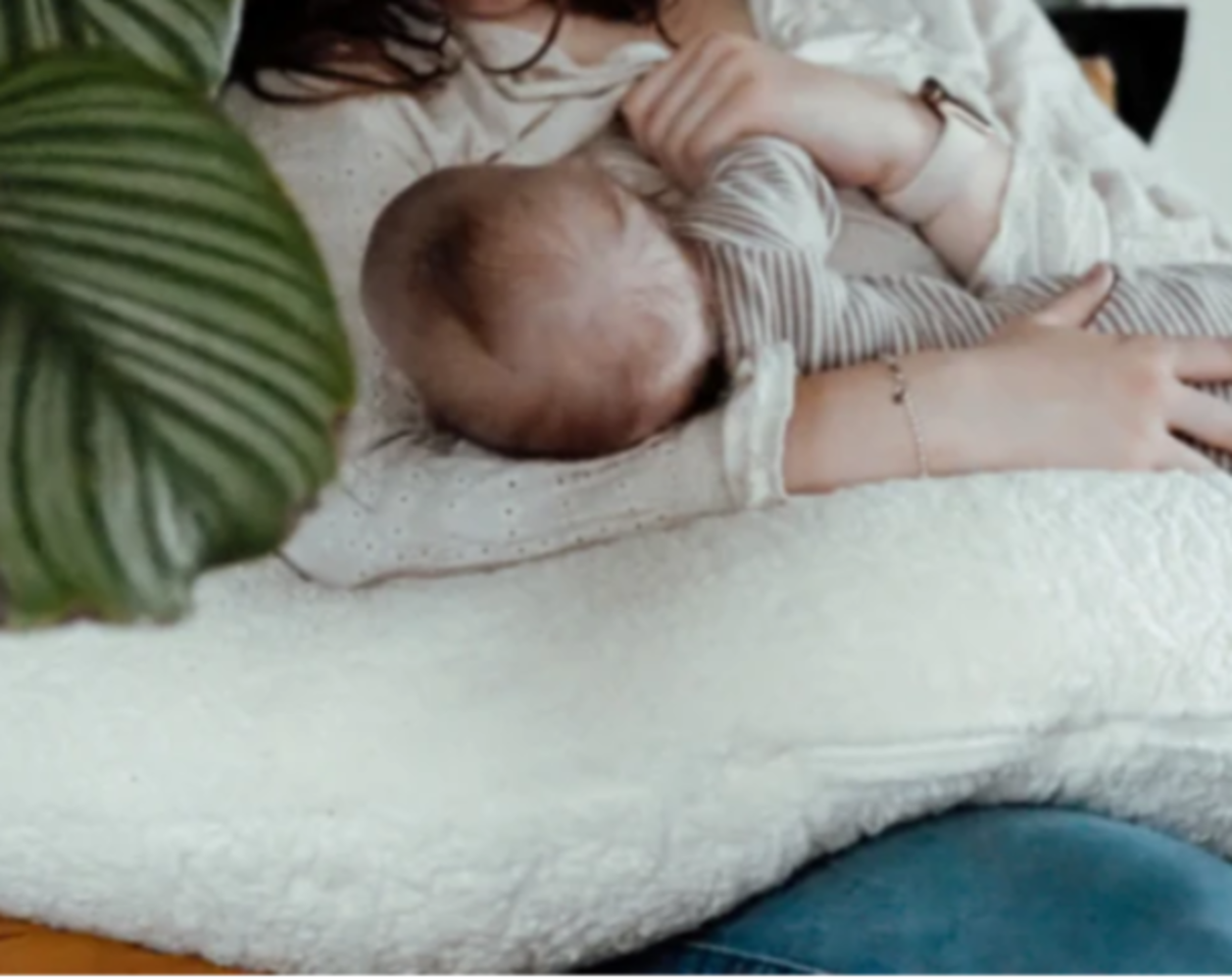 Ilmaha Voedingskussen Teddy