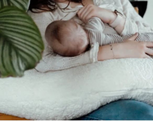 Ilmaha Voedingskussen Teddy