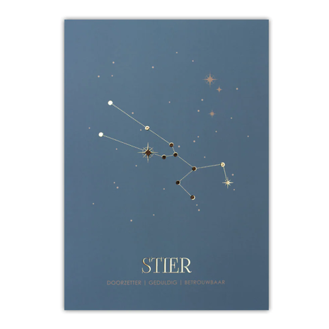 Poster sterrenbeeld - blauw Poster sterrenbeeld - blauw