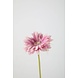 Gerbera Daisy Stem – purple 53cm Gerbera Daisy Stem – purple 53cm