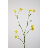 Buttercup 70 cm Buttercup 70 cm