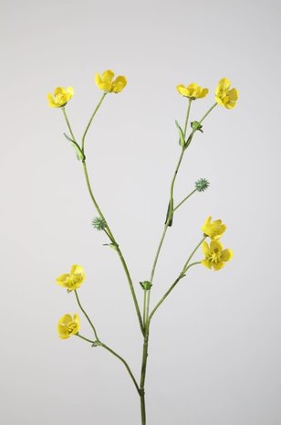 Buttercup 70 cm Buttercup 70 cm