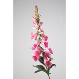 Foxglove Single Stem – Pink 97cm