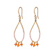 A Beautiful Story Becoming Carnelian GC Earrings A Beautiful Story Becoming Carnelian GC Earrings