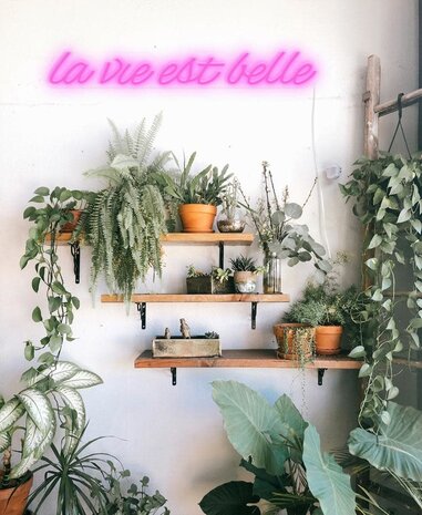 Candyshock La Vie Est Belle Candyshock La Vie Est Belle