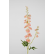 Larkspur Spray roze - 88cm Larkspur Spray roze - 88cm