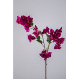 Bougainvillea Spray 100cm Bougainvillea Spray 100cm