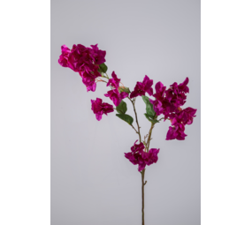 Bougainvillea Spray 100cm Bougainvillea Spray 100cm