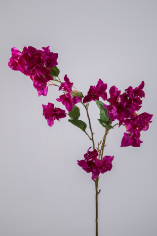 Bougainvillea Spray 100cm