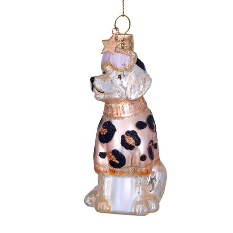 Vondels Labrador w/ski goggles and sweater