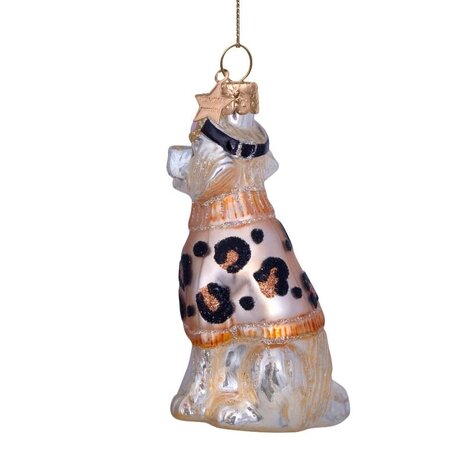 Vondels Labrador w/ski goggles and sweater