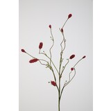 Burnet Spray Burnet Spray