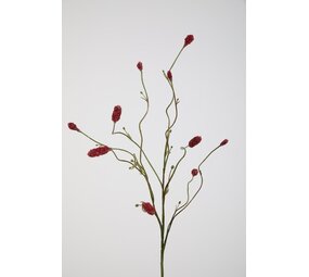 Burnet Spray Burnet Spray