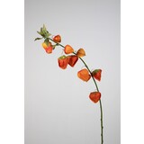 Chinese Lantern Spray  - 102cm Chinese Lantern Spray  - 102cm