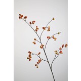 Rosehip Spray – 105cm Rosehip Spray – 105cm