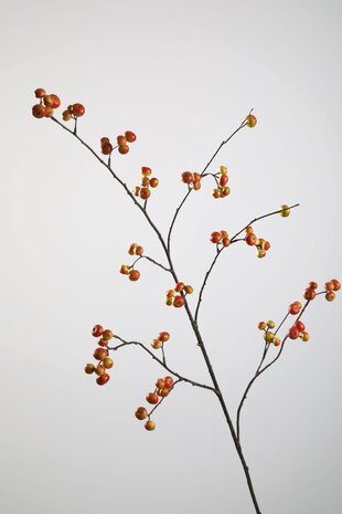 Rosehip Spray – 105cm Rosehip Spray – 105cm