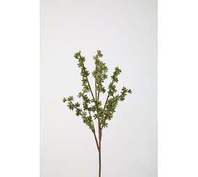 Eucalyptus Berry Spray – 62cm Eucalyptus Berry Spray – 62cm