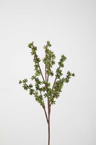 Eucalyptus Berry Spray – 62cm Eucalyptus Berry Spray – 62cm