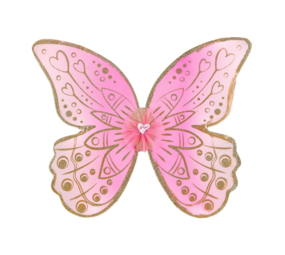 Souza Marcia vleugels Souza Marcia vleugels