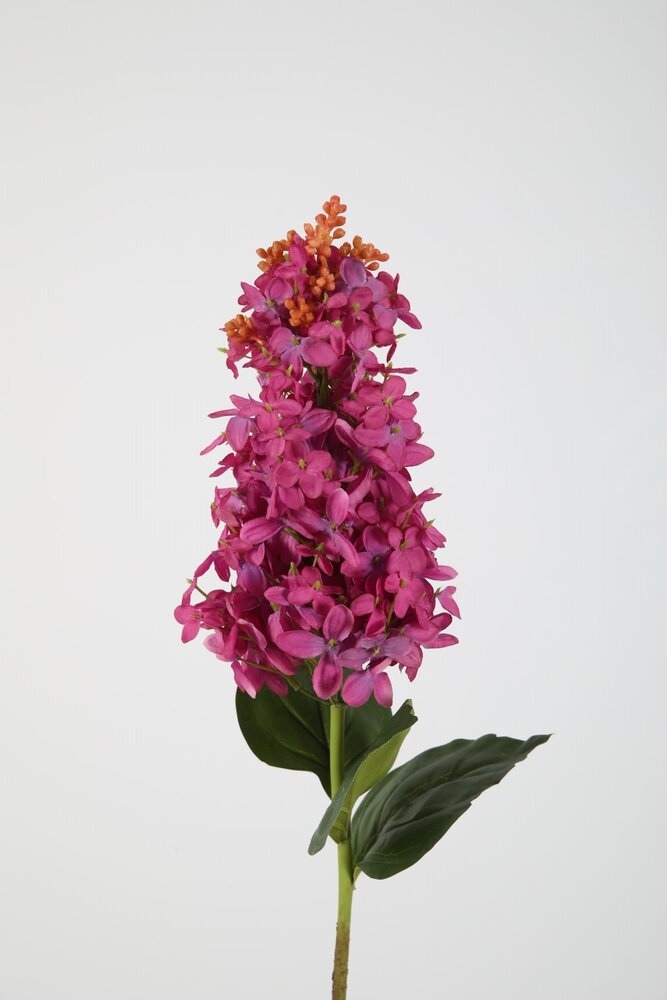 Lilac Spray 82cm – Fuchsia Lilac Spray 82cm – Fuchsia
