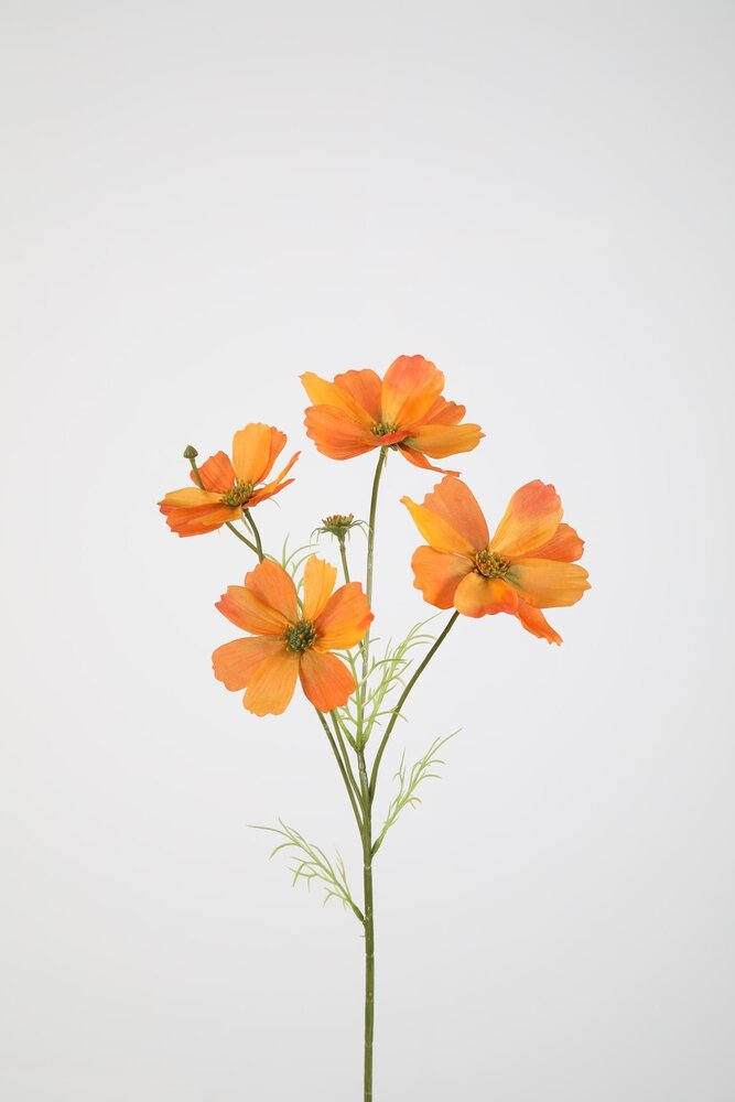Cosmos Spray x4 67cm – Orange Cosmos Spray x4 67cm – Orange