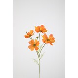 Cosmos Spray x4 67cm – Orange