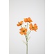 Cosmos Spray x4 67cm – Orange Cosmos Spray x4 67cm – Orange