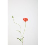 Poppy 61cm